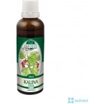 Naděje Kalina tušalaj z pupenů 50 ml 40% – Hledejceny.cz