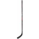 Brankářské brusle Bauer Vapor X2.9 S19 Senior