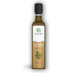 Green idea Ostropestřecový sirup farmářský 250 ml – Hledejceny.cz