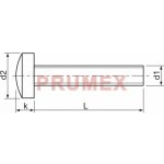 Šroub s drážkou TORX DIN 7985 M2x10 A2 – Hledejceny.cz