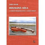 Houslová sóla v českých bluegrassových a country hitech + DVD – Hledejceny.cz