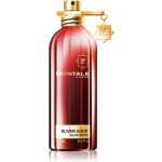 Montale Sliver Aoud parfémovaná voda pánská 100 ml – Hledejceny.cz