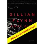 Zmizelá - Gillian Flynn – Hledejceny.cz