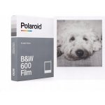 Polaroid Originals B&W Film 600 – Zbozi.Blesk.cz