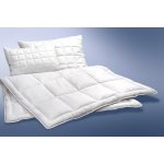 Ložnice21. Vyvařovací set Clinisan polštář 70x90 zip vak 1000 g 140x 200 300 g/m2 300g – Hledejceny.cz