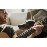 Frontpro 4 - 10 kg 28,3 mg 3 žvýkací tablety – Zboží Mobilmania