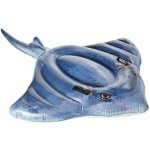 Intex 57558 – Zboží Mobilmania