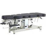 Coinfycare® Elektrické chiropraktické lehátko Coinfycare Chiro Premium ELT08F 185*53 cm | 121 kg | šedá – Zboží Mobilmania