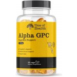 Tree of Health Alpha GPC 300 mg 60 vcaps – Hledejceny.cz