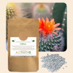 Od Janky Vonné kamínky Kaktusy 60 g – Zboží Dáma Od Janky Vonné kamínky Kaktusy 60 g – Zboží Dáma