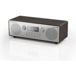 Panasonic RF-D100BTEGT – Hledejceny.cz