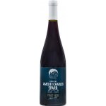 Domaine Amelie а Charles Sparr Pinot Noir Jardin d'Eden 2023 Červené 13% 0,75 l (holá láhev) – Hledejceny.cz