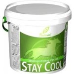 Phytovet Horse Stay cool 2,5 kg – Hledejceny.cz