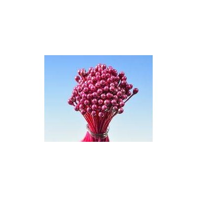 Pestíky perleťové červené svazek - Hamilworth