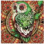 Norimpex Diamantové malování 7D Sova na červené mandale 30 x 30 cm – Hledejceny.cz