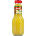 Granini Ananas nektar vratná láhev 24 x 200 ml – Hledejceny.cz