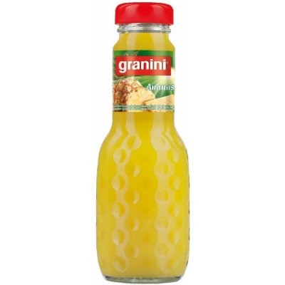 Granini Ananas nektar vratná láhev 24 x 200 ml – Hledejceny.cz