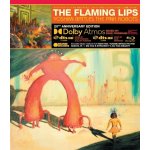 Flaming Lips Yoshimi Battles The Pink Robots LP – Sleviste.cz