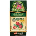 VitaHarmony Acerola 500 mg+Vitamin C 250 mg 90 tablet – Hledejceny.cz