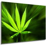 Skleněný obraz 1D - 100 x 70 cm - Marijuana background