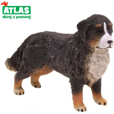 Atlas B Bernský salašnický pes – Zbozi.Blesk.cz