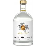 Anton Kaapl Meruňkovice 47% 0,5 l (holá láhev) – Zboží Dáma