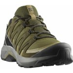 Salomon X Ward Leather Gtx Deep Lichen green black olive night – Hledejceny.cz