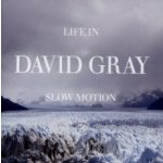 David Gray - Life in Slow Motion CD – Hledejceny.cz