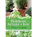 Pěstujeme bylinky v bytě