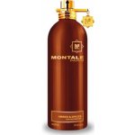 Montale Amber & Spices parfémovaná voda unisex 100 ml – Hledejceny.cz