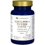 Pharma Activ Kurkumin + Piperin forte 90 tobolek – Hledejceny.cz