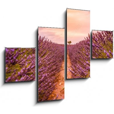 Obraz 4D čtyřdílný - 120 x 90 cm - Dramatic sunset landscape. Tree in lavender field at sunset in Provence, France – Zbozi.Blesk.cz