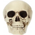 Folat Dekorace Lebka 17 x 19 cm – Hledejceny.cz
