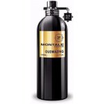 Montale Oudmazing parfémovaná voda unisex 100 ml – Hledejceny.cz