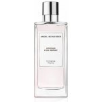 Angel Schlesser Les Eaux d'Un Instant Immense Peony toaletní voda unisex 100 ml – Hledejceny.cz
