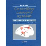 Centrálny nervový systém - Per Brodal – Hledejceny.cz