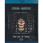 Squire Chris Fish Out of Water BD – Hledejceny.cz