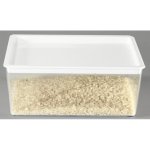 Petra Plast Plastová krabice nízká 1250 ml – Hledejceny.cz