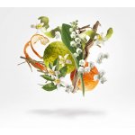 Xerjoff XJ 1861 Renaissance parfémovaná voda unisex 100 ml – Sleviste.cz