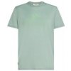 Pánské sportovní tričko Icebreaker Mens merino 150 Tech Lite SS Tee Rising Light, Moss