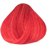 Dusy Color Injection přímá pigmentová barva fire Red ohnivě červená 115 ml – Zboží Mobilmania