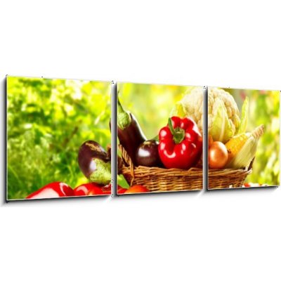 Obraz 3D třídílný - 150 x 50 cm - Fresh Organic Bio Vegetable in a Basket over Nature Background Čerstvé organické bio zeleniny v koši nad přírodou pozadí – Zbozi.Blesk.cz