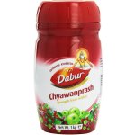 Dabur Chyawanprash 500 g – Hledejceny.cz