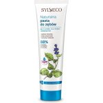 Sylveco Dental Care přírodní bez fluoridu Herbal Hypoallergenic 100 ml – Hledejceny.cz