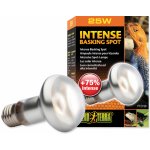 Hagen Exo Terra Intense Basking Spot 25 W – Hledejceny.cz