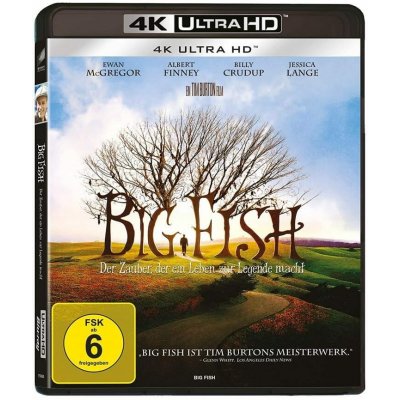 Velká ryba 4K BD – Hledejceny.cz