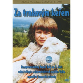 Gajer václav: za trnkovým keřem DVD