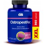 GS Ostropestřec 365 tablet – Hledejceny.cz