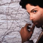 Musicology Prince CD – Hledejceny.cz