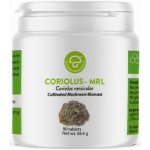 MRL Coriolus Versicolor Outkovka pestrá 90 tablet – Hledejceny.cz
